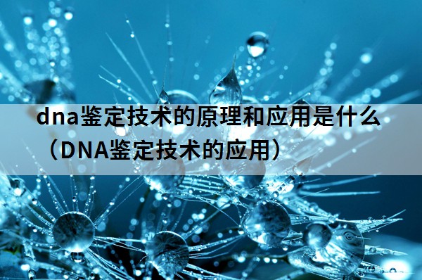 dna鉴定技术的原理和应用是什么（DNA鉴定技术的应用）