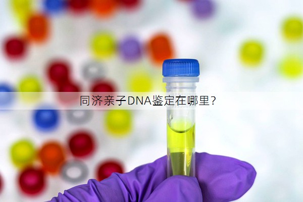 同济亲子DNA鉴定在哪里？