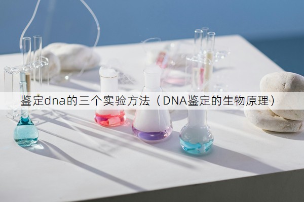 鉴定dna的三个实验方法（DNA鉴定的生物原理）