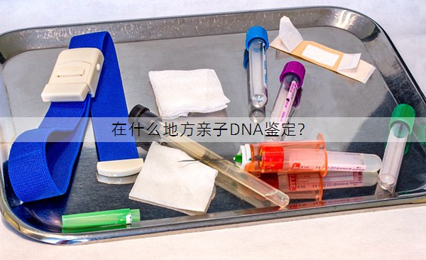 在什么地方亲子DNA鉴定？