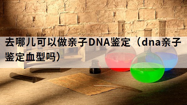 去哪儿可以做亲子DNA鉴定（dna亲子鉴定血型吗）