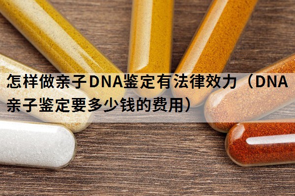 怎样做亲子DNA鉴定有法律效力（DNA亲子鉴定要多少钱的费用）