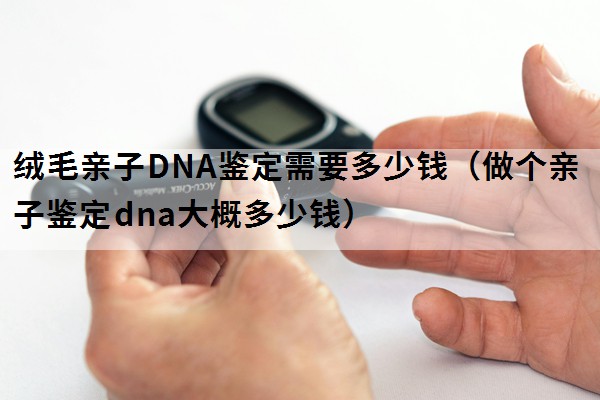 绒毛亲子DNA鉴定需要多少钱（做个亲子鉴定dna大概多少钱）