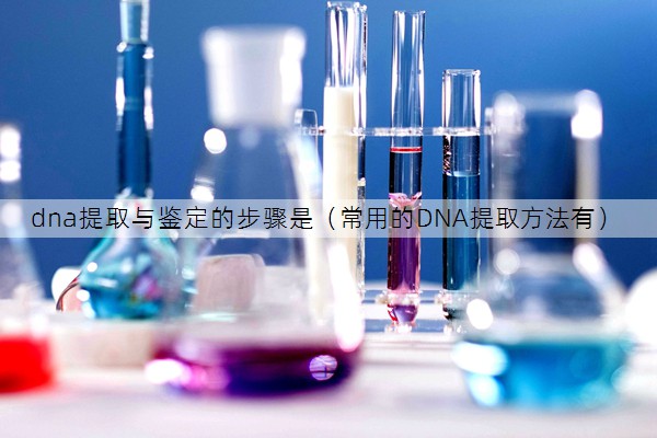 dna提取与鉴定的步骤是（常用的DNA提取方法有）