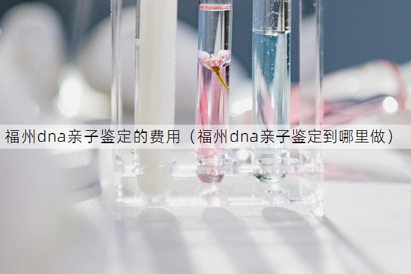 福州dna亲子鉴定的费用（福州dna亲子鉴定到哪里做）