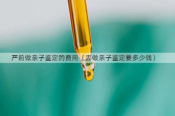 产前做亲子鉴定的费用（去做亲子鉴定要多少钱）