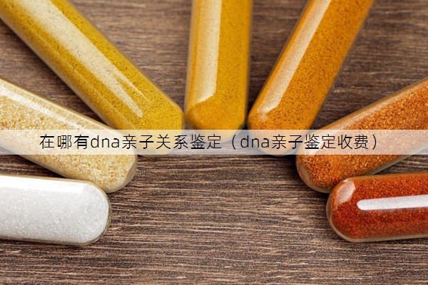 在哪有dna亲子关系鉴定（dna亲子鉴定收费）